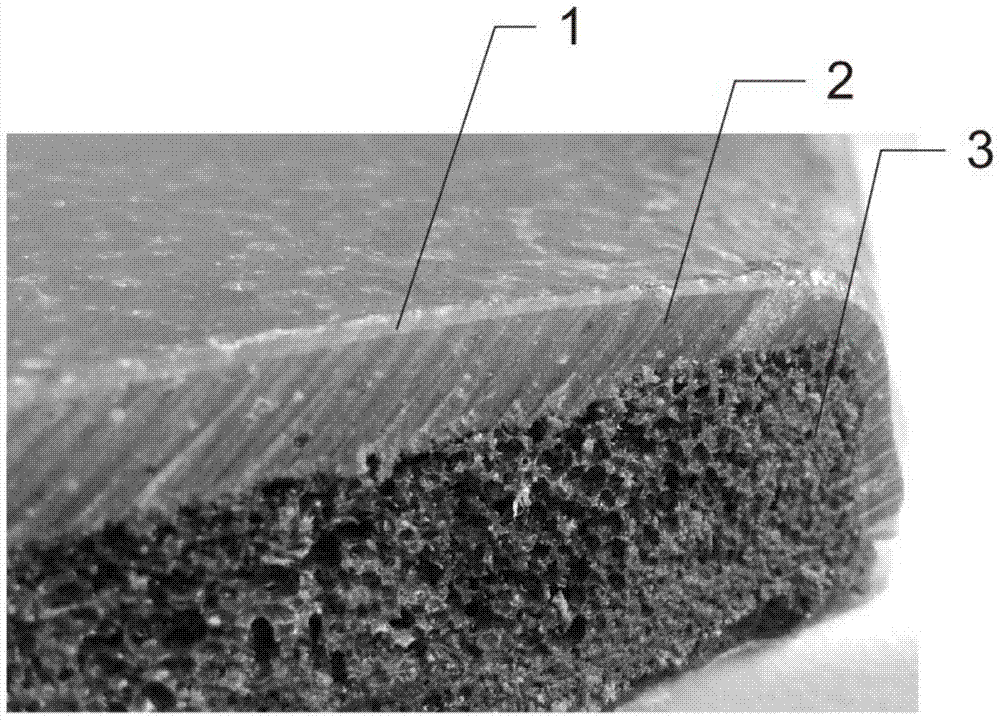 Preparation method and application of a self-healing coating material