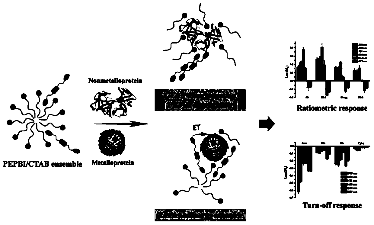 Perylene derivative probe self-assembled fluorescent sensor array for protein distinguishing detection