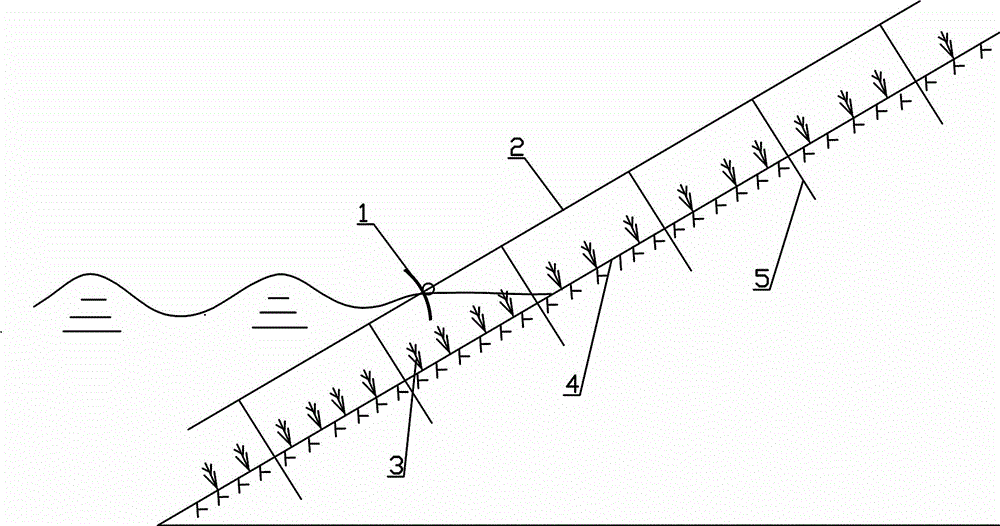 Anti-surge device for hydro-fluctuation belt water and soil conservation