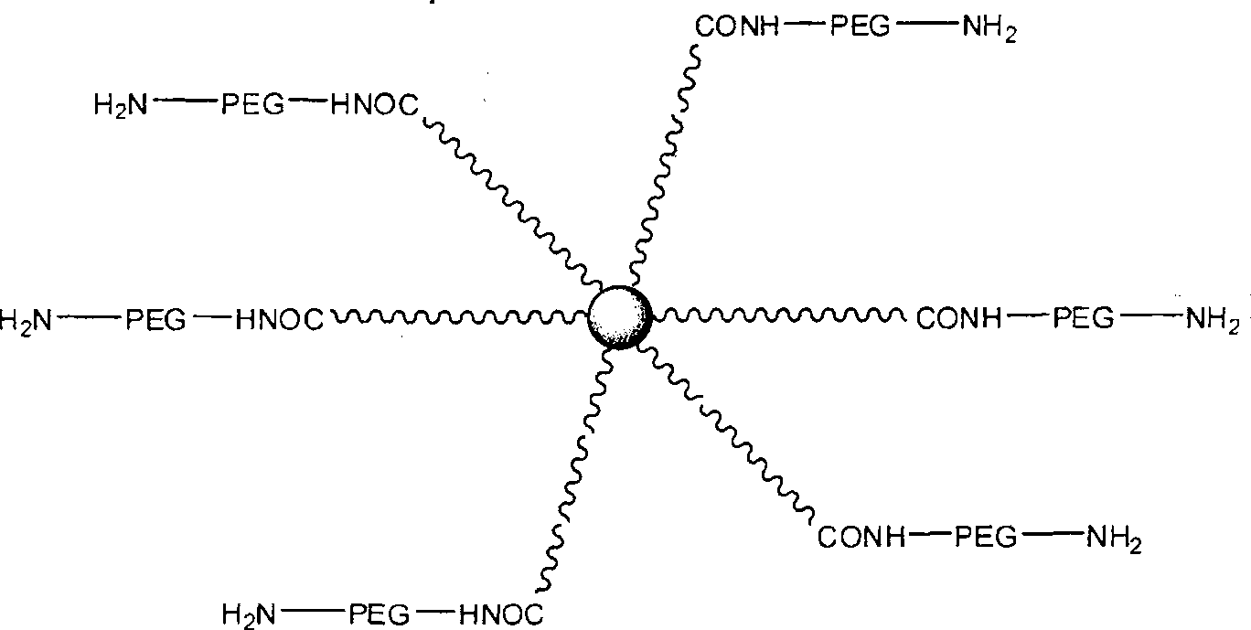 Terminal amido group start-type poly (lactic-co-glycolic acid)/polyglycol block copolymer, preparation method, medicament-carried nano micelle and application