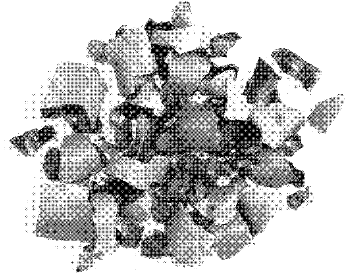 Low-silicon-aluminum-killed-steel-casting-slag-based refining agent and preparation method thereof