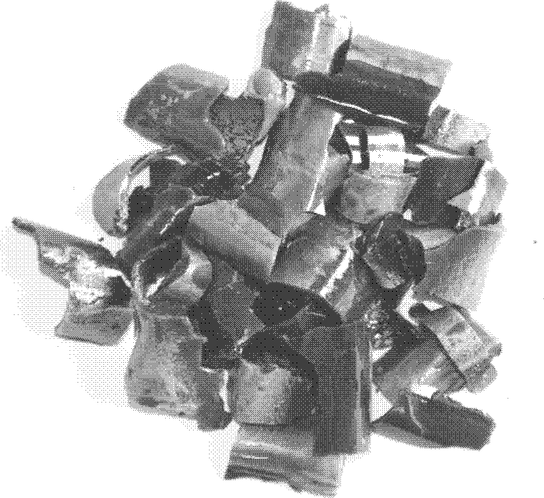 Low-silicon-aluminum-killed-steel-casting-slag-based refining agent and preparation method thereof