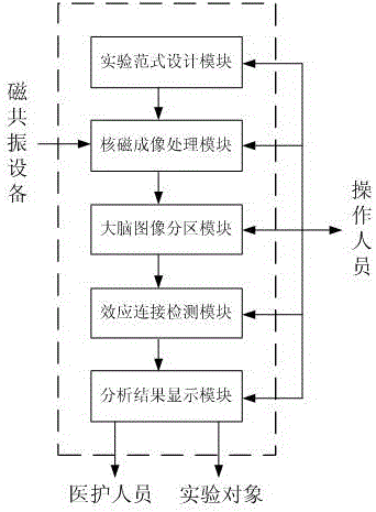 A Brain Region Effect Connectivity Analysis System Based on Functional Magnetic Resonance Imaging