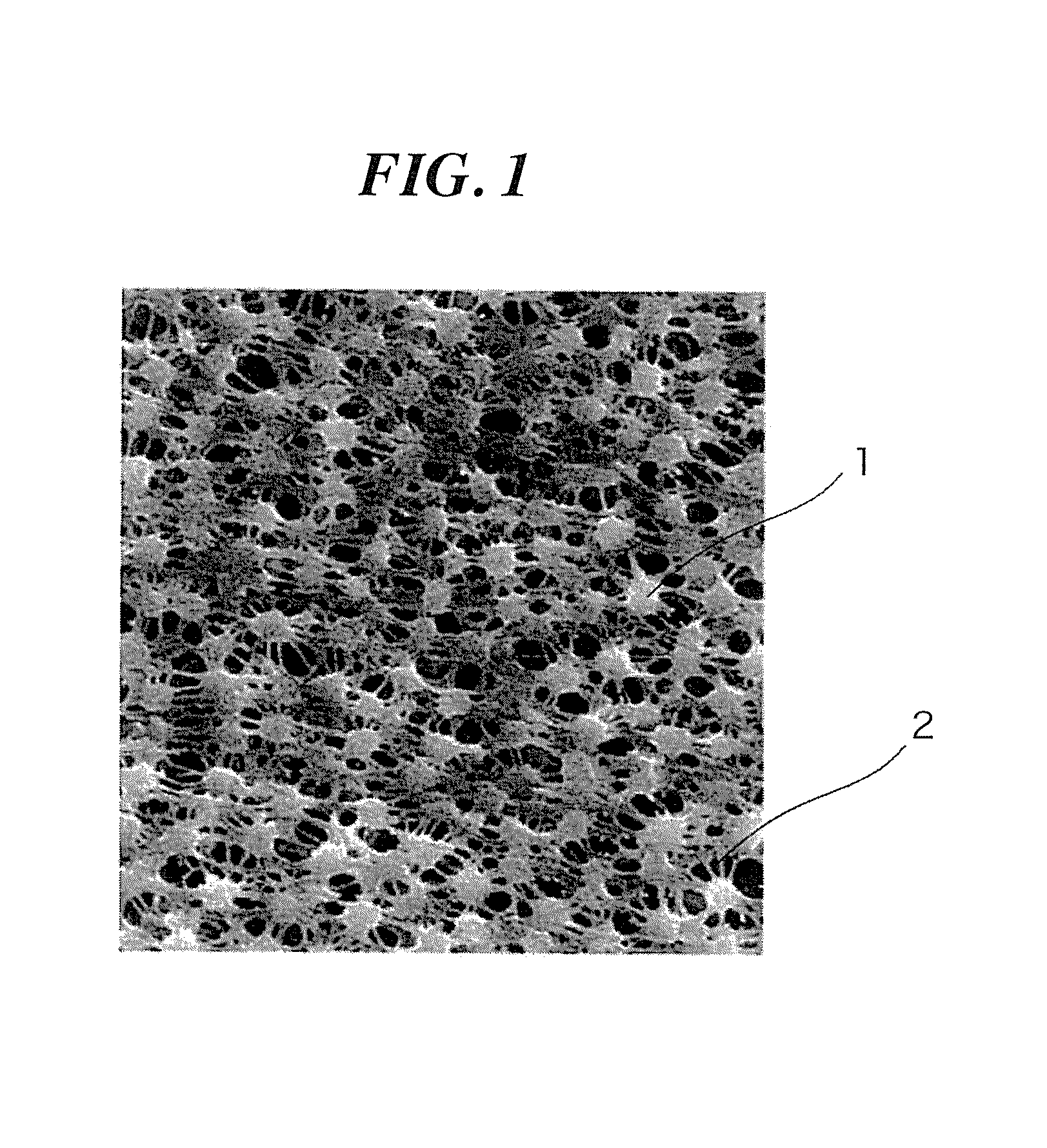 Microporous membrane and manufacturing process therefor