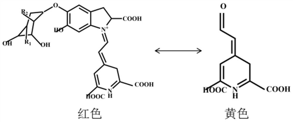 Preparation method of anthocyanin-beet element-k-carrageenan freshness indicating film