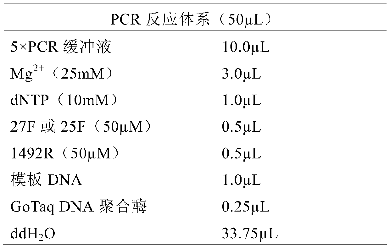 A kind of medium-temperature leaching ore composite bacterial system and leaching process for chalcopyrite leaching