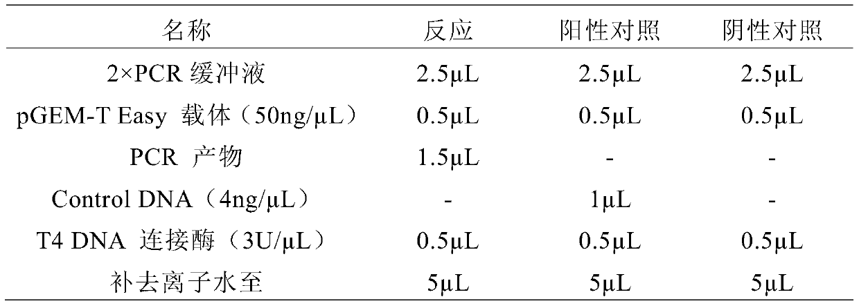 A kind of medium-temperature leaching ore composite bacterial system and leaching process for chalcopyrite leaching