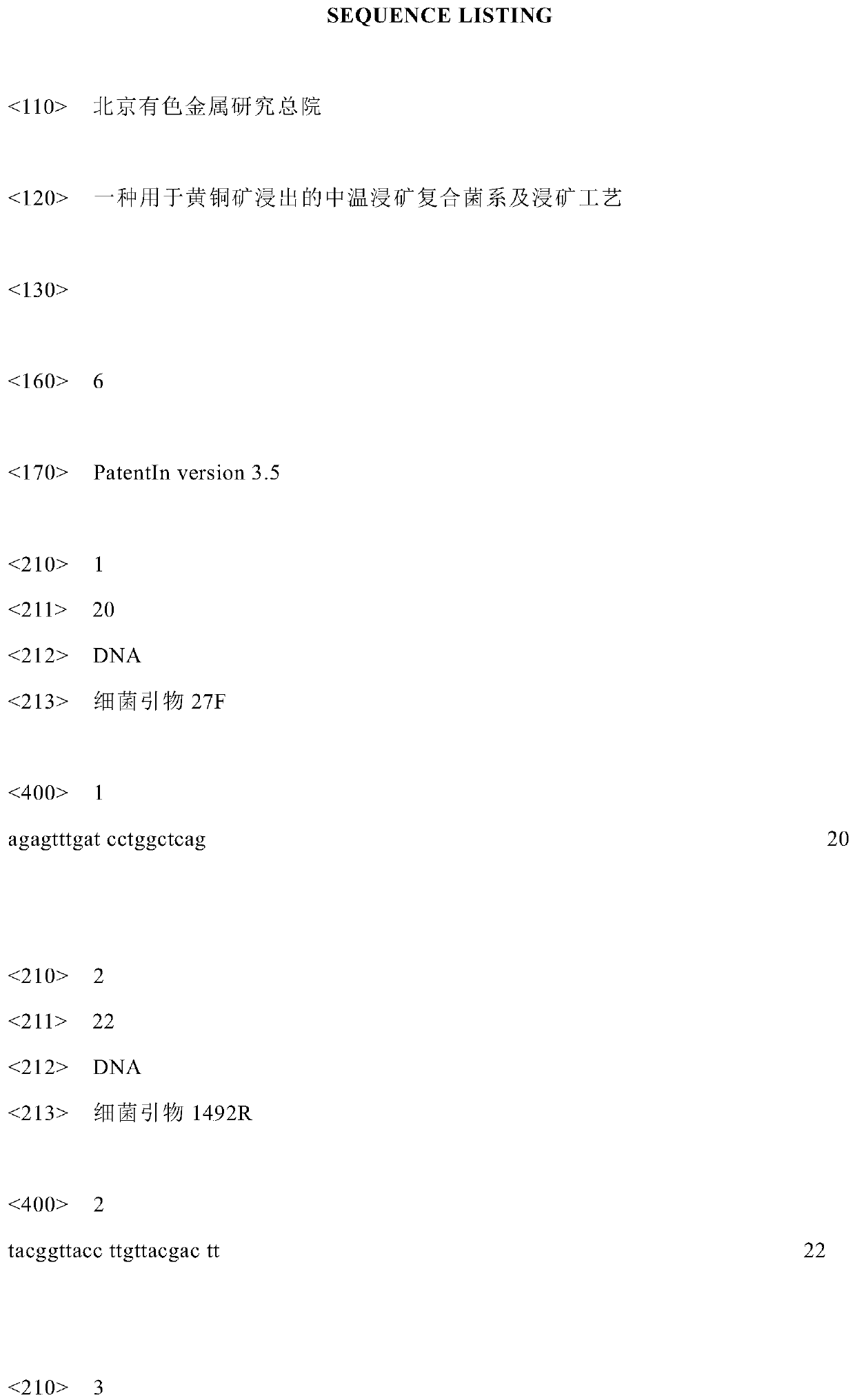 A kind of medium-temperature leaching ore composite bacterial system and leaching process for chalcopyrite leaching