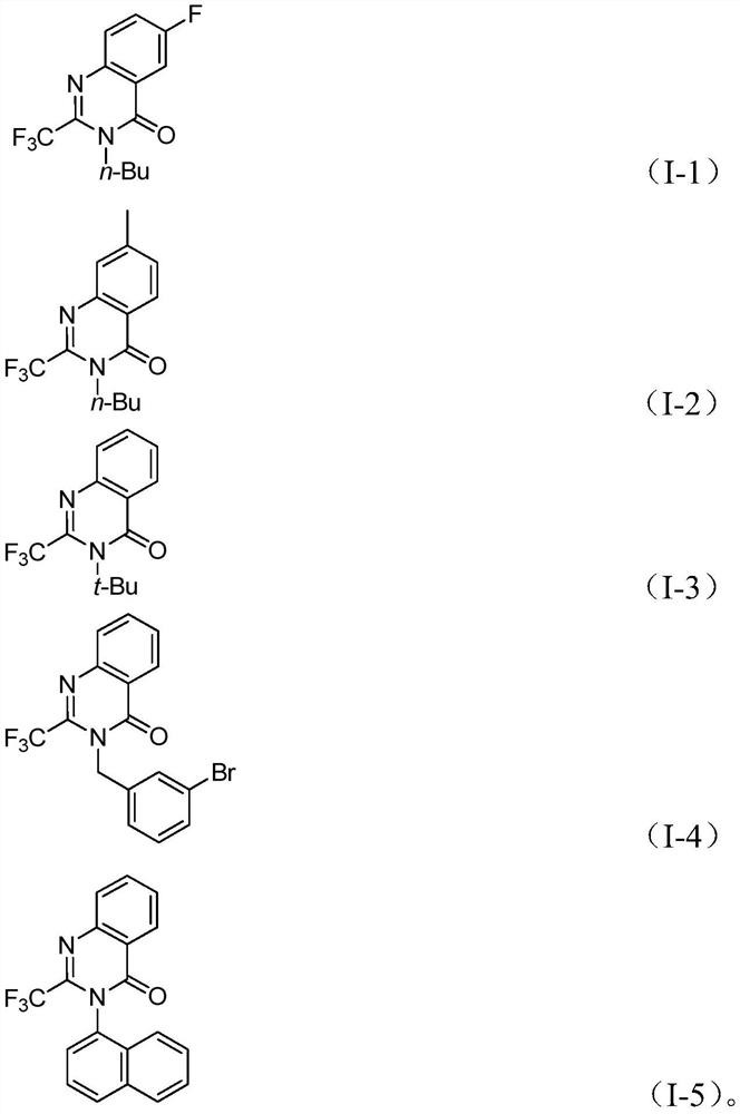 Preparation method of 2-trifluoromethyl substituted quinazolinone compound and application of 2-trifluoromethyl substituted quinazolinone compound in synthesis of pharmaceutical molecules