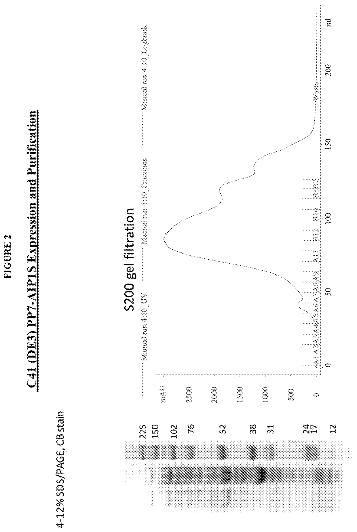 VLP-based vaccines for targeting <i>Staphylococcus aureus </i>secreted virulence factors