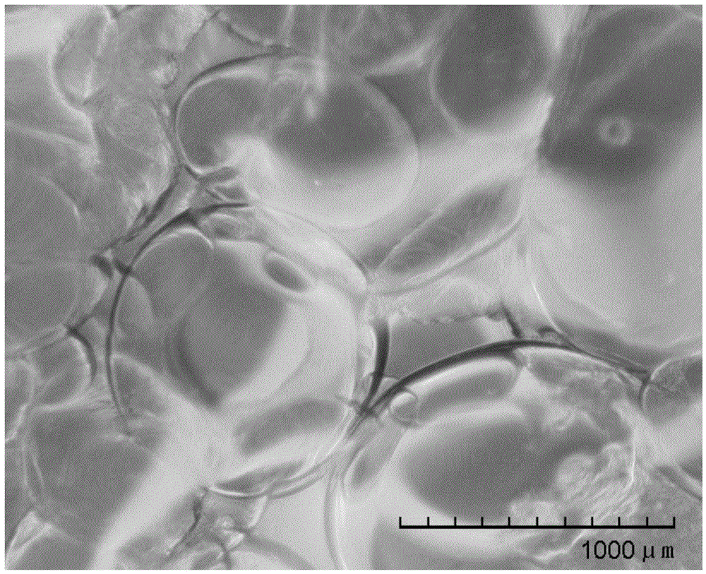 A kind of preparation method of pomegranate-shaped organic-inorganic nanocomposite microspheres