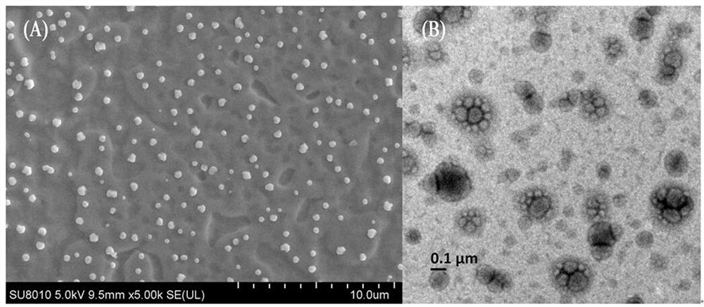 A preparation method of an amphiphilic surfactant and a controllable preparation method of zwitterionic nano hollow capsules