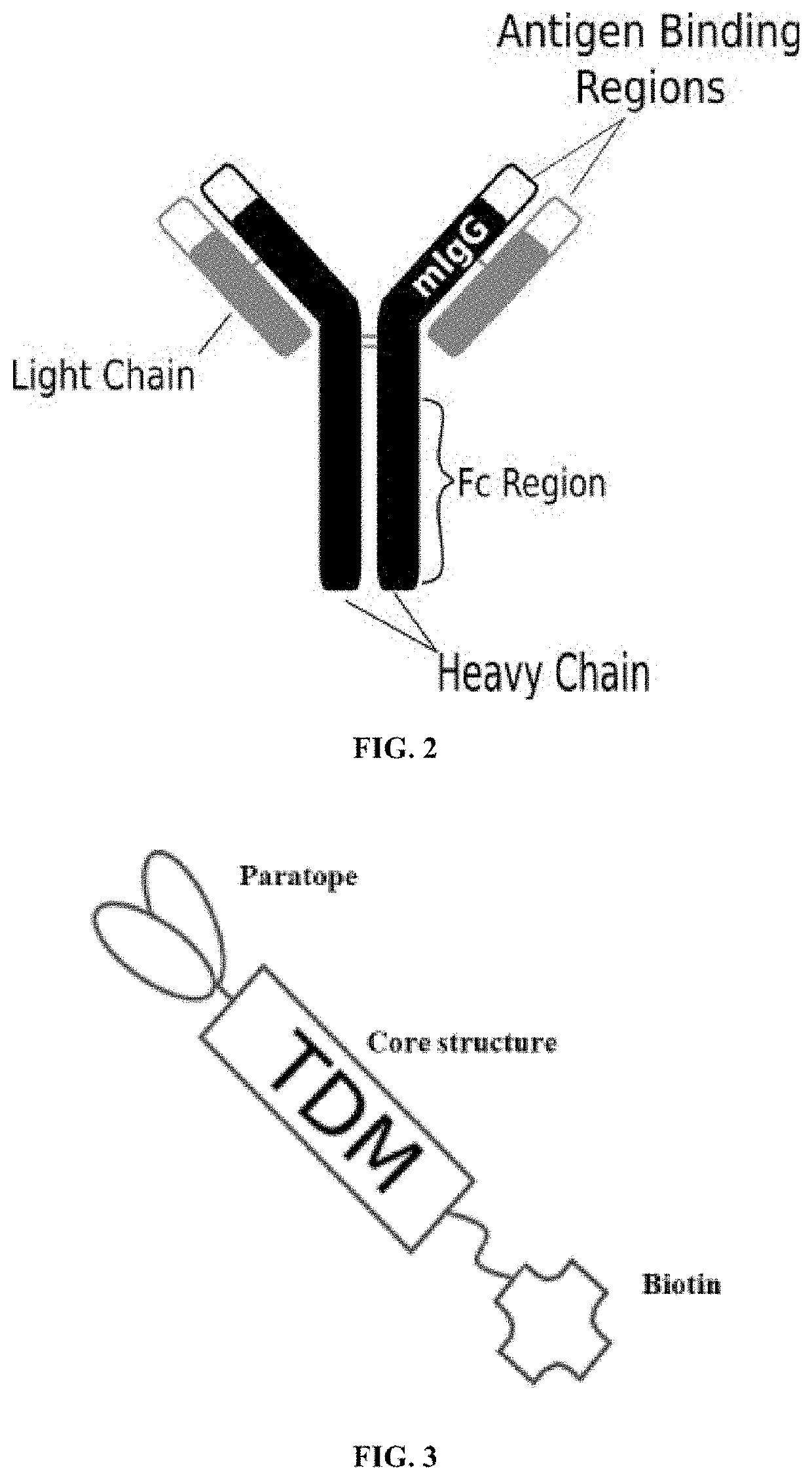 Programmable immunocyte receptor complex system