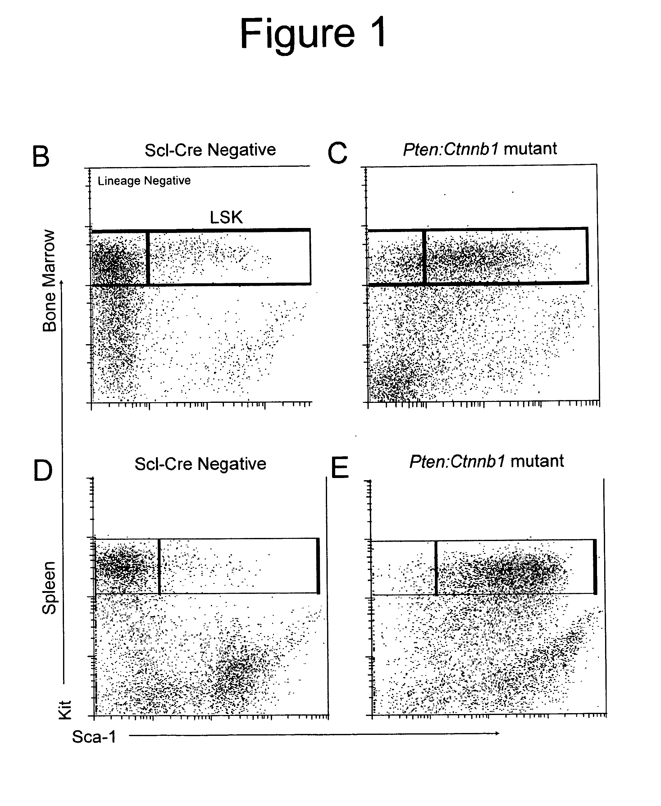 Methods and compositions for stem cell self-renewal