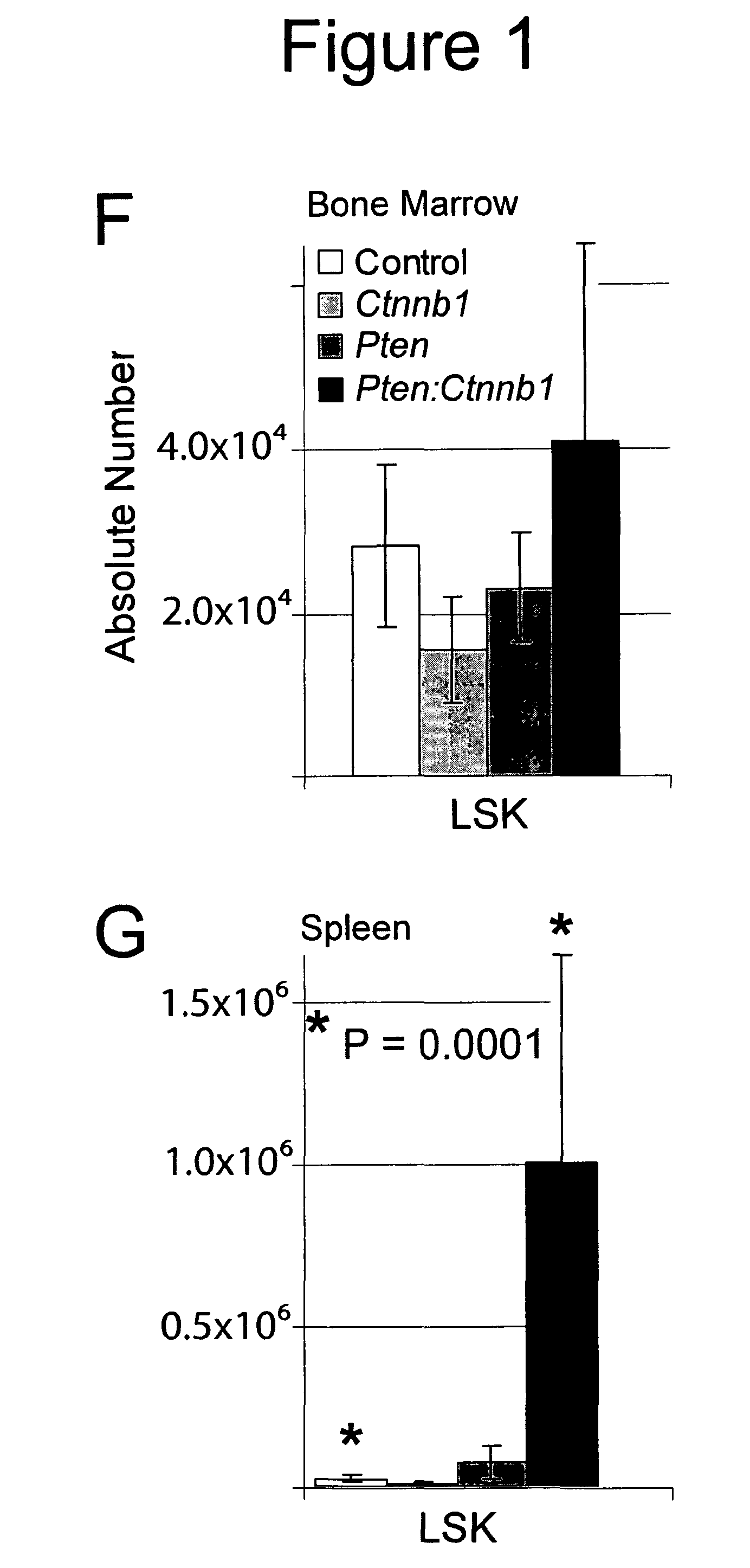 Methods and compositions for stem cell self-renewal