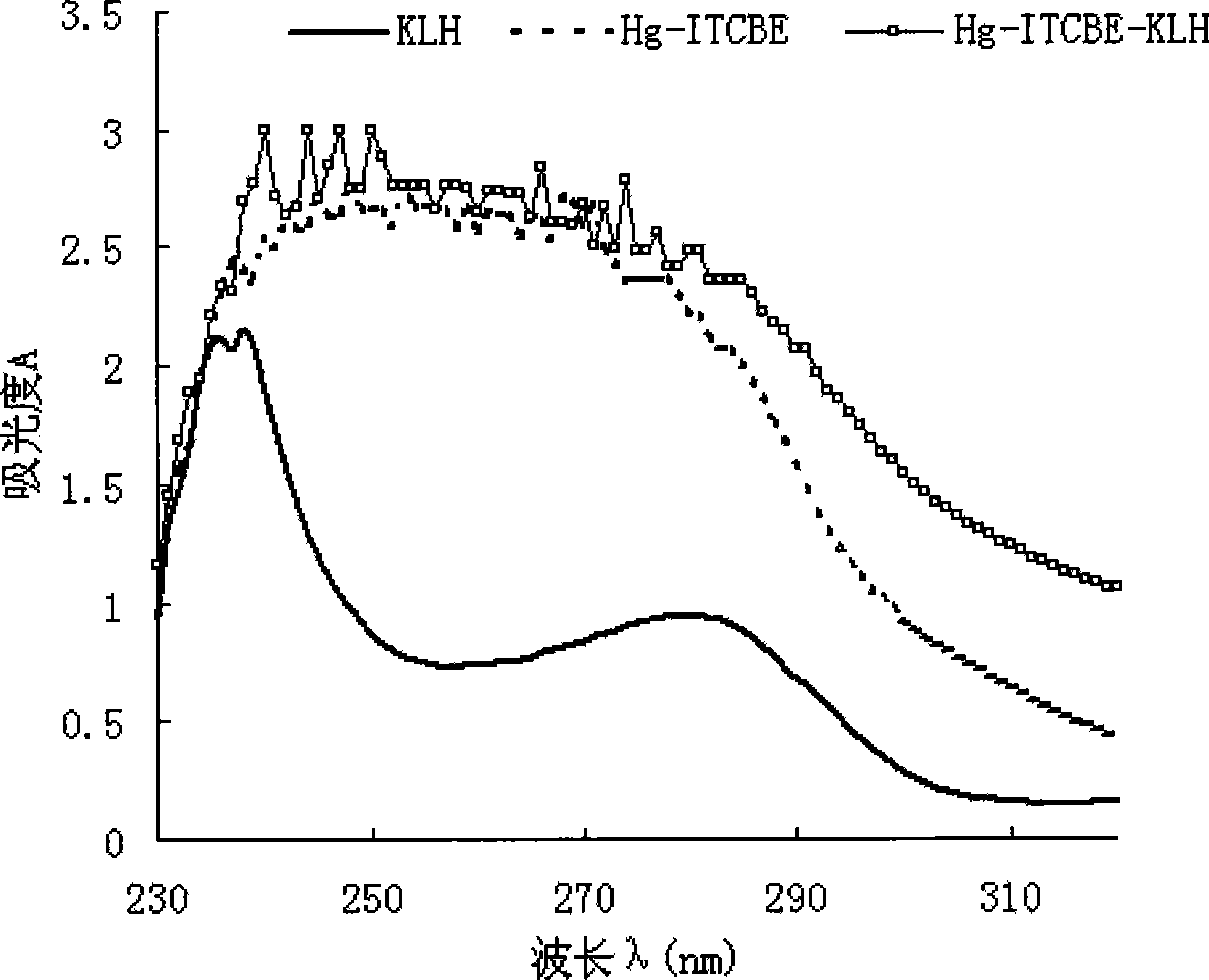 Mercury resistant chelate monoclonal antibody, as well as preparation method and application thereof