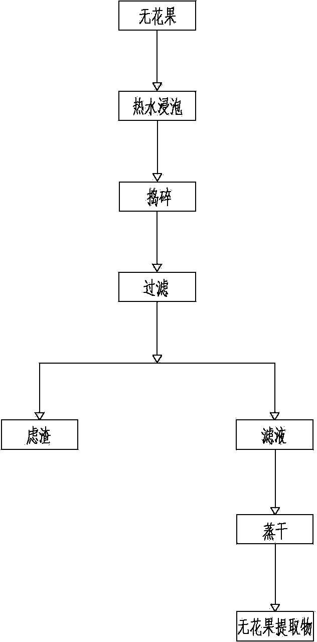 Lupulus solid drink and preparation method thereof