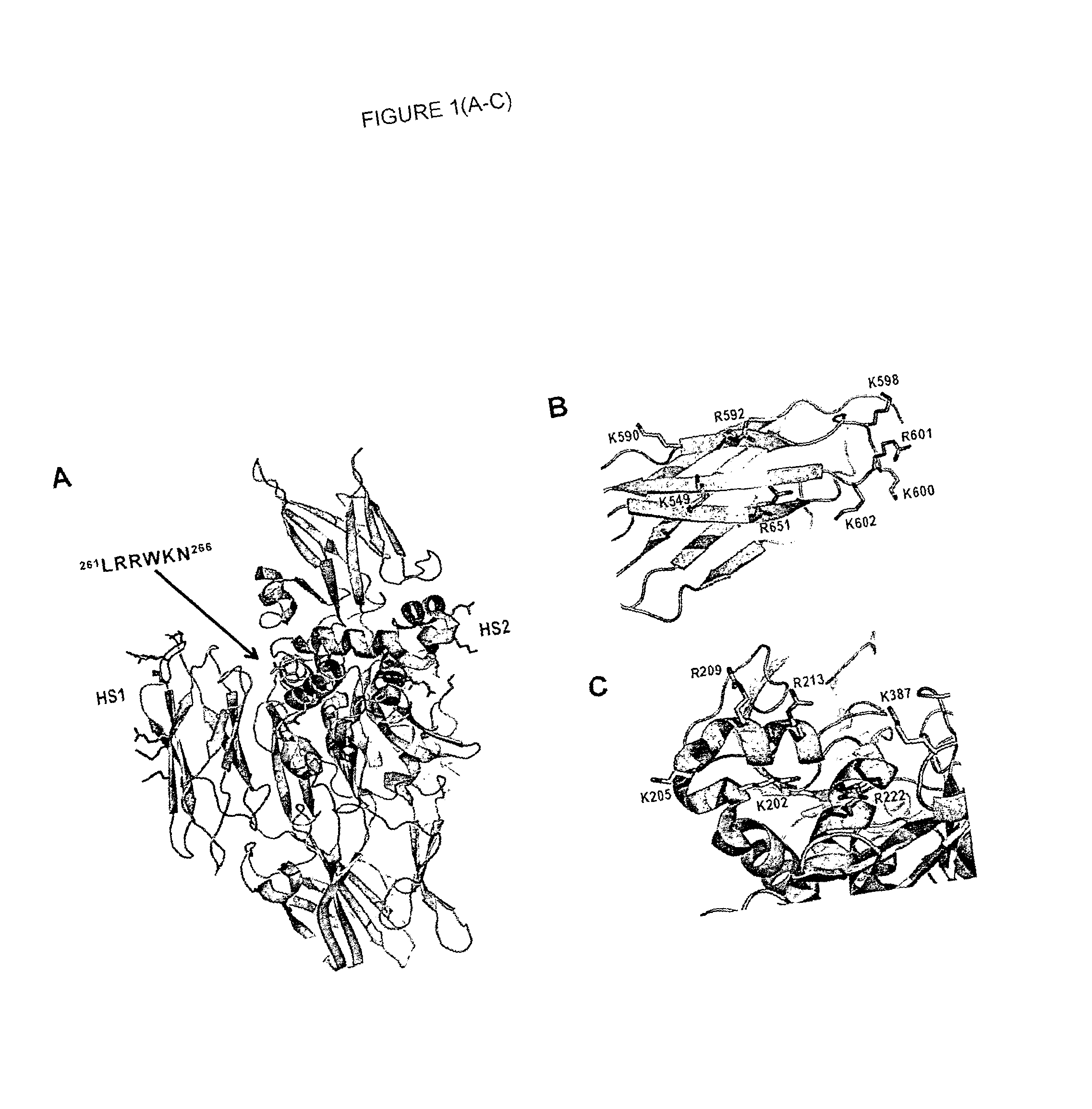 Novel polypeptides and use thereof