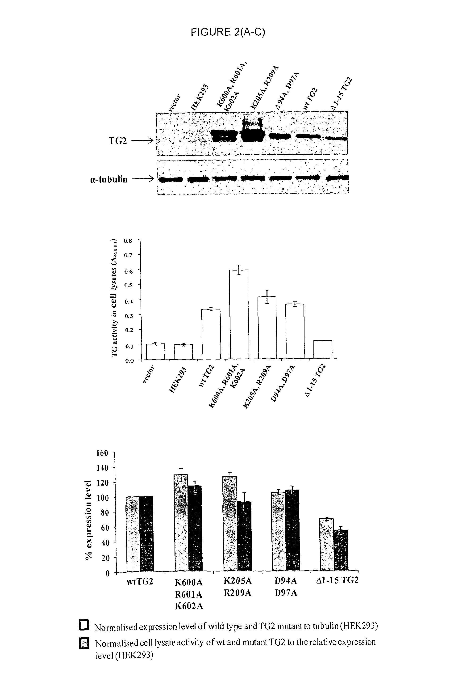 Novel polypeptides and use thereof