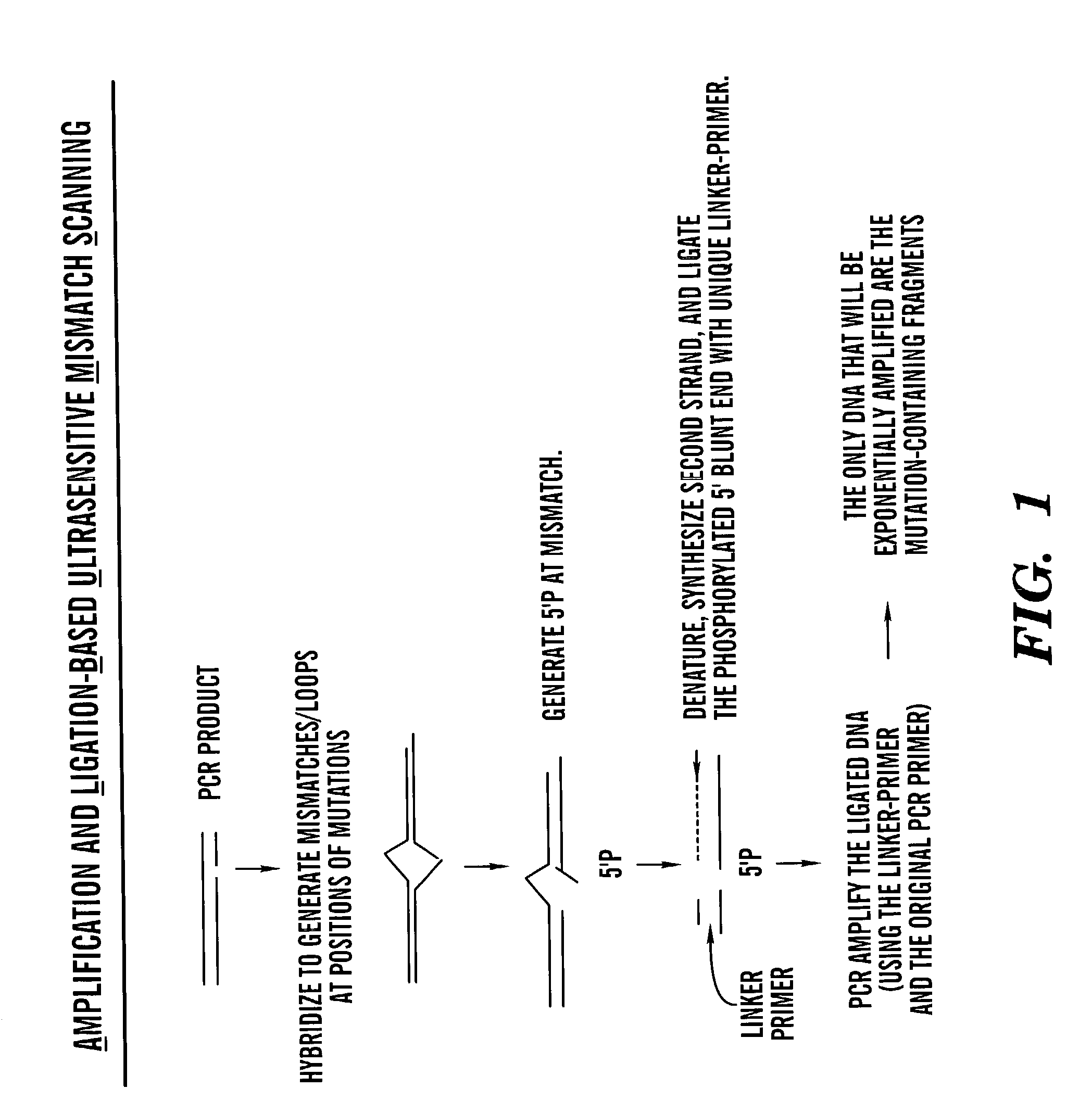 Methods for rapid screening of polymorphisms, mutations and methylation