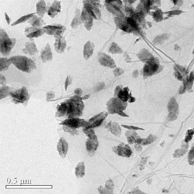 Graphene-loaded lamellar cupric oxide composite material and hydro-thermal synthesis method thereof