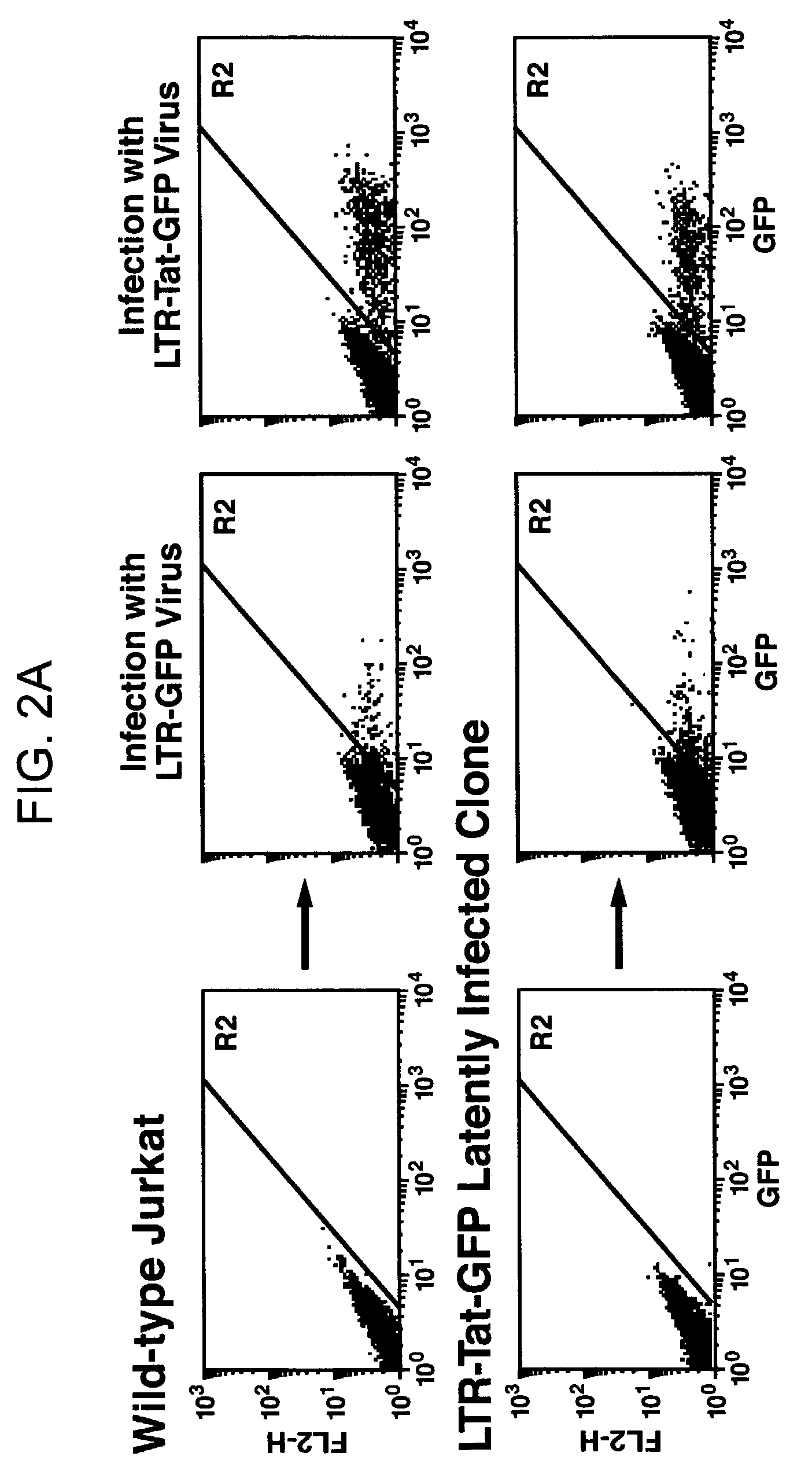 Cell lines with latent immunodeficiency virus and methods of use thereof