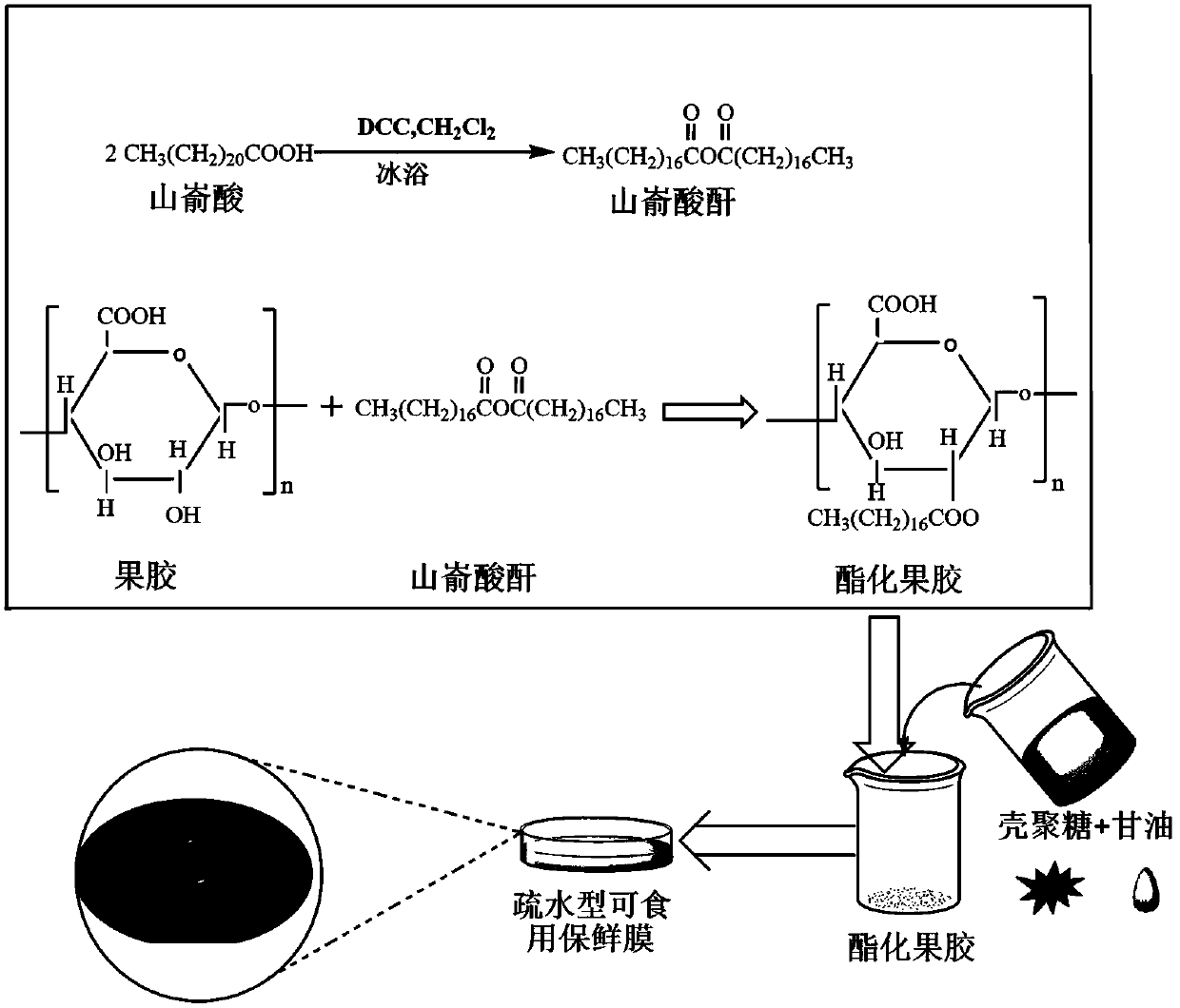 Hydrophobic edible preservative film and preparation method thereof