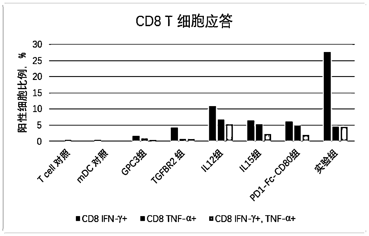 Immune regulation composition and application thereof