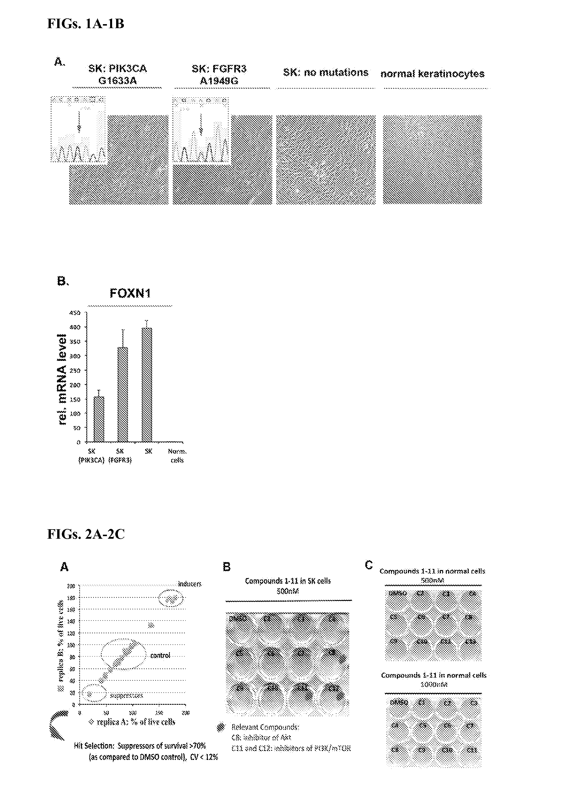 Agents and methods for treating and preventing seborrheic keratosis