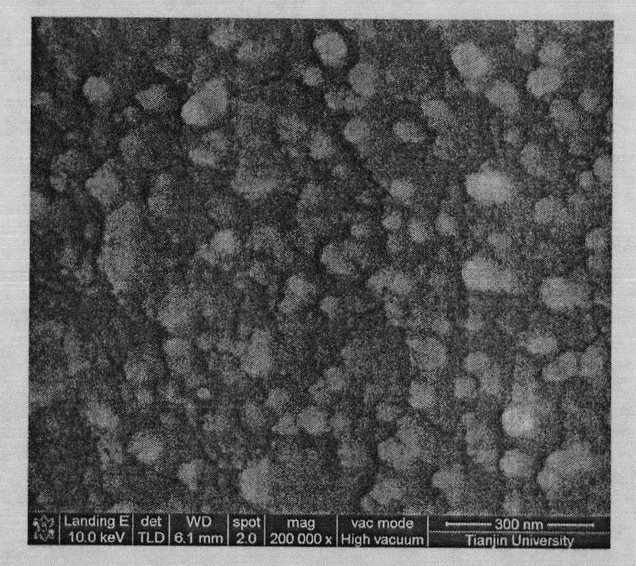 Preparation method and application of sulfonated polyether-ether-ketone-carboxylated titanium dioxide hybrid membrane