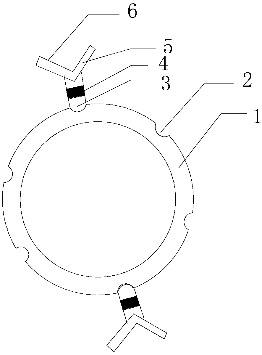Seedling shaping device