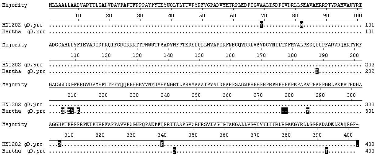 A kind of porcine pseudorabies virus strain, vaccine composition and its preparation method and application