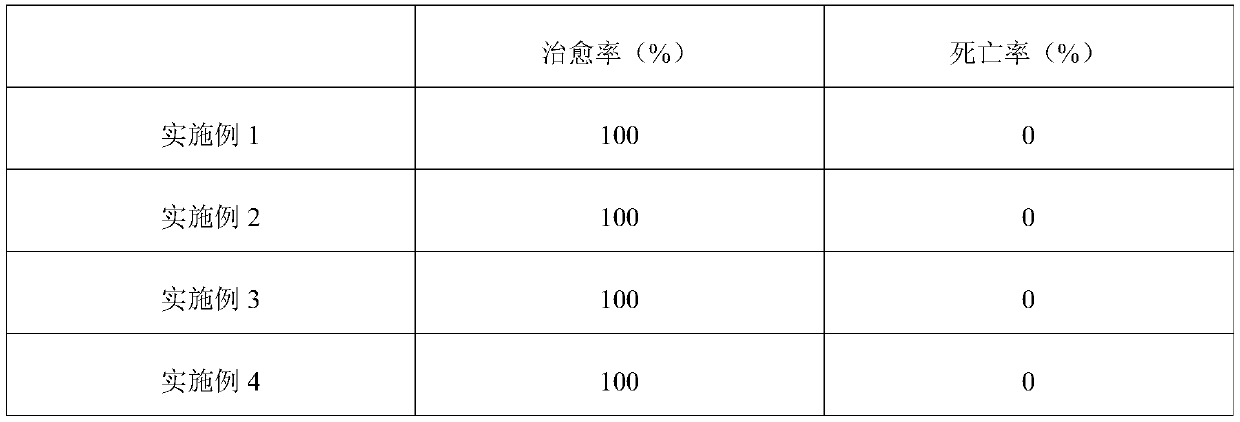 Injection for treating piglet diarrhea and production method of injection for treating piglet diarrhea