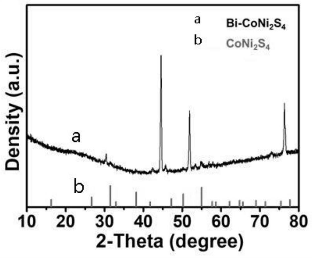 A preparation method of a bismuth-doped bimetallic sulfide electrode for electrocatalytic oxidation of urea