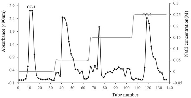 Procoagulant Chinese redbud polysaccharide as well as extraction and separation method and application thereof