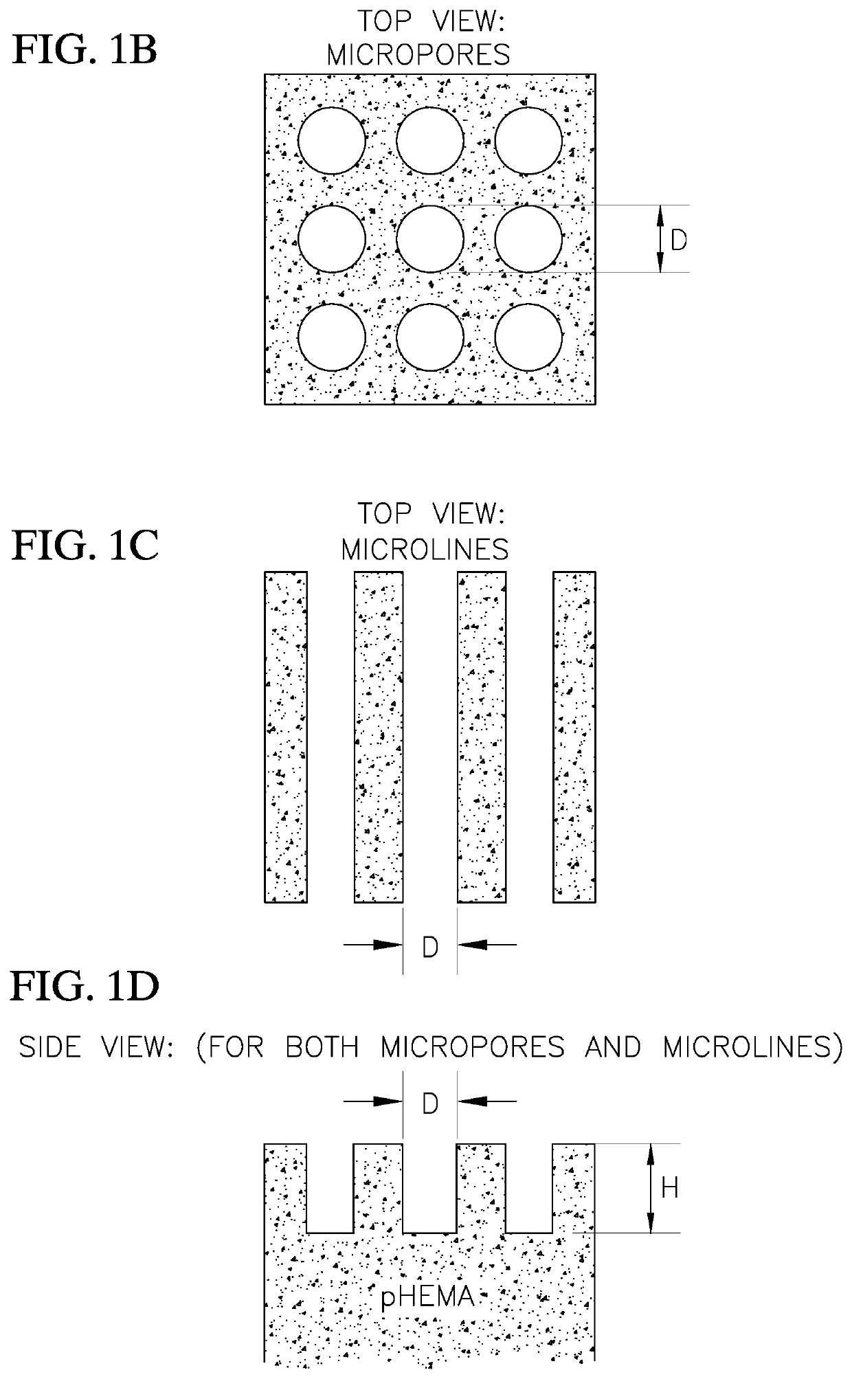 Artificial Cornea with Double-Side Microtextured pHEMA Hydrogel