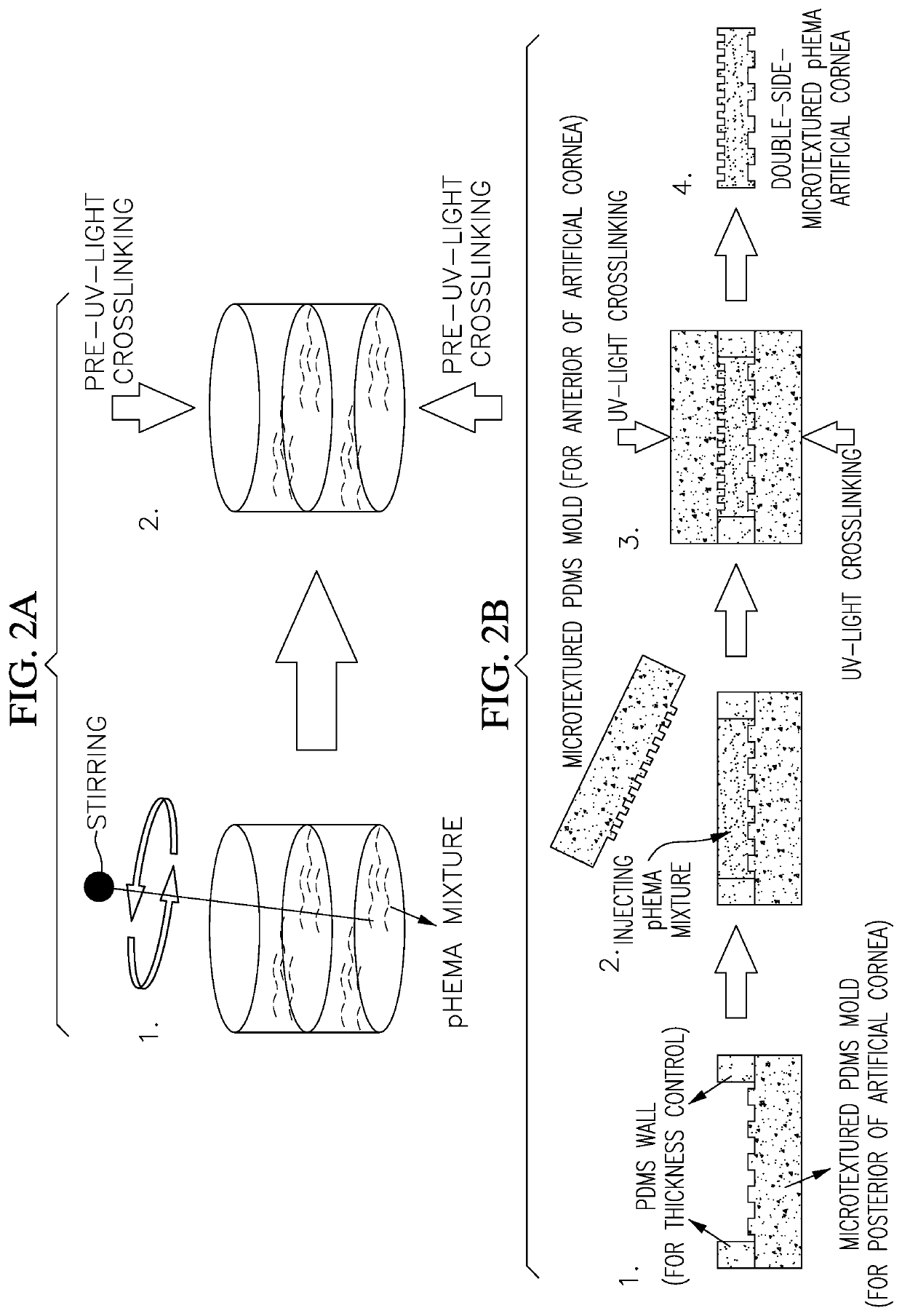 Artificial Cornea with Double-Side Microtextured pHEMA Hydrogel