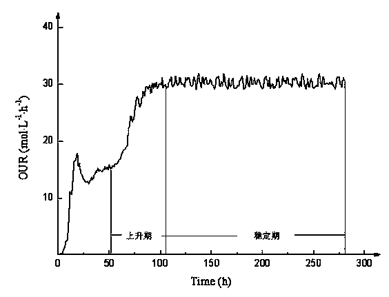 Process for producing salinomycin by glucose supplement and fermentation based on metabolic parameter OUR (oxygen uptake rate)