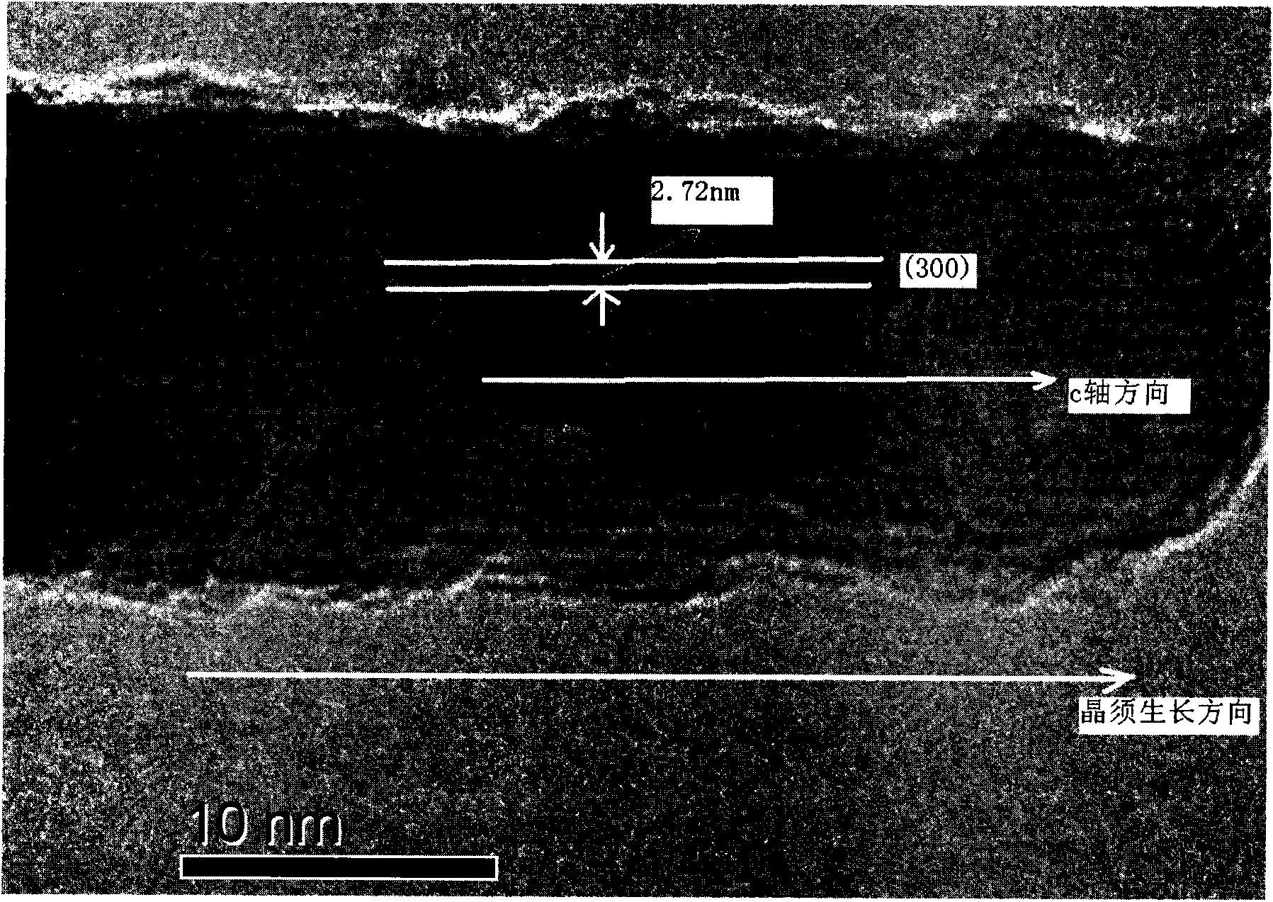 Method for preparing phosphorite crystal whisker using natural phosphorite as raw material