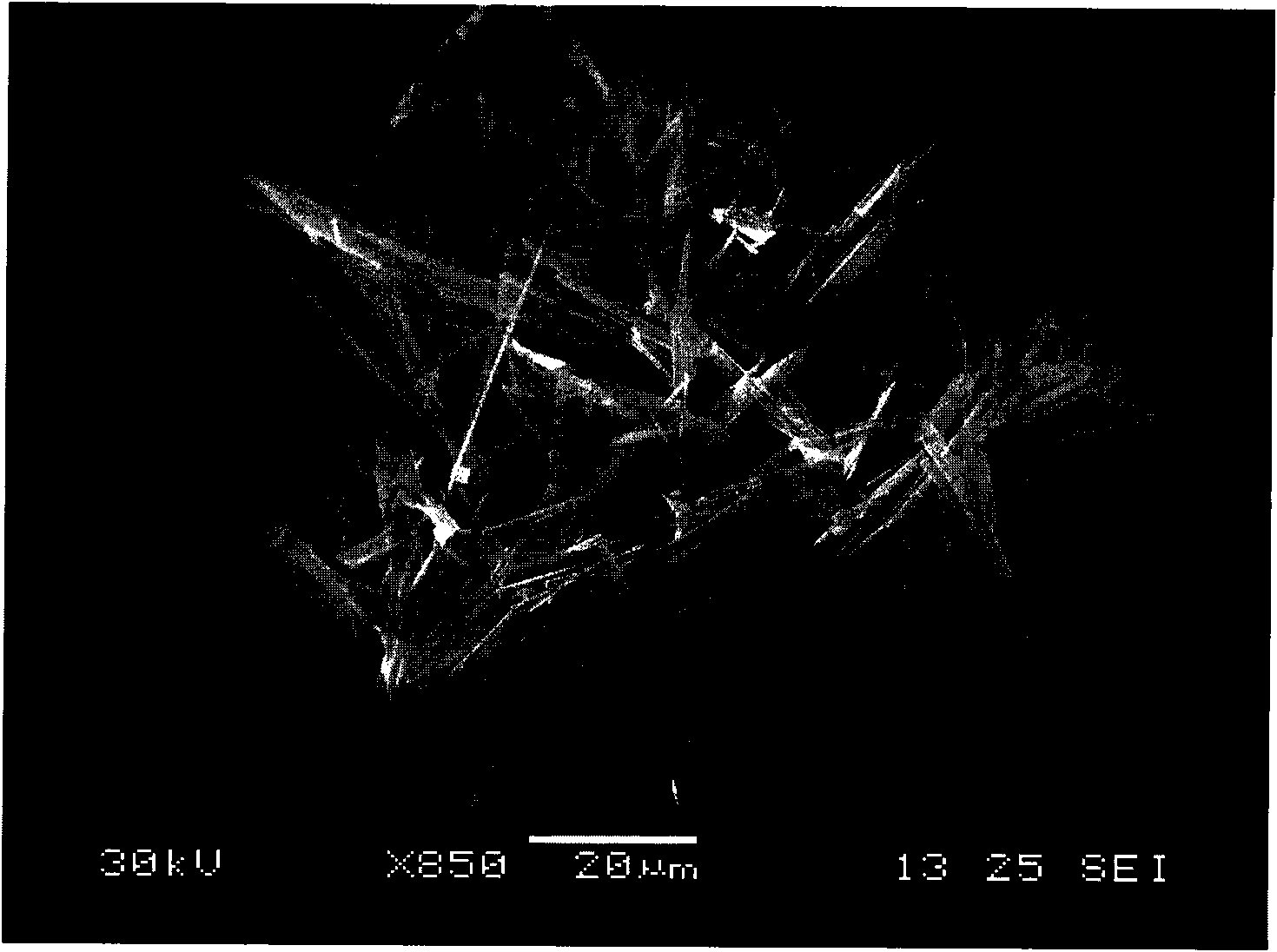 Method for preparing phosphorite crystal whisker using natural phosphorite as raw material