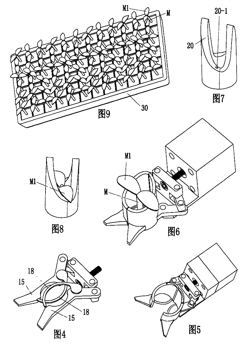 Directional seedling picking device for melon grafted seedling cotyledon