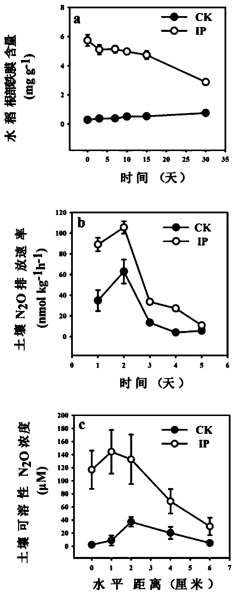 Method for promoting soil nitrate reduction by rice root iron plaque