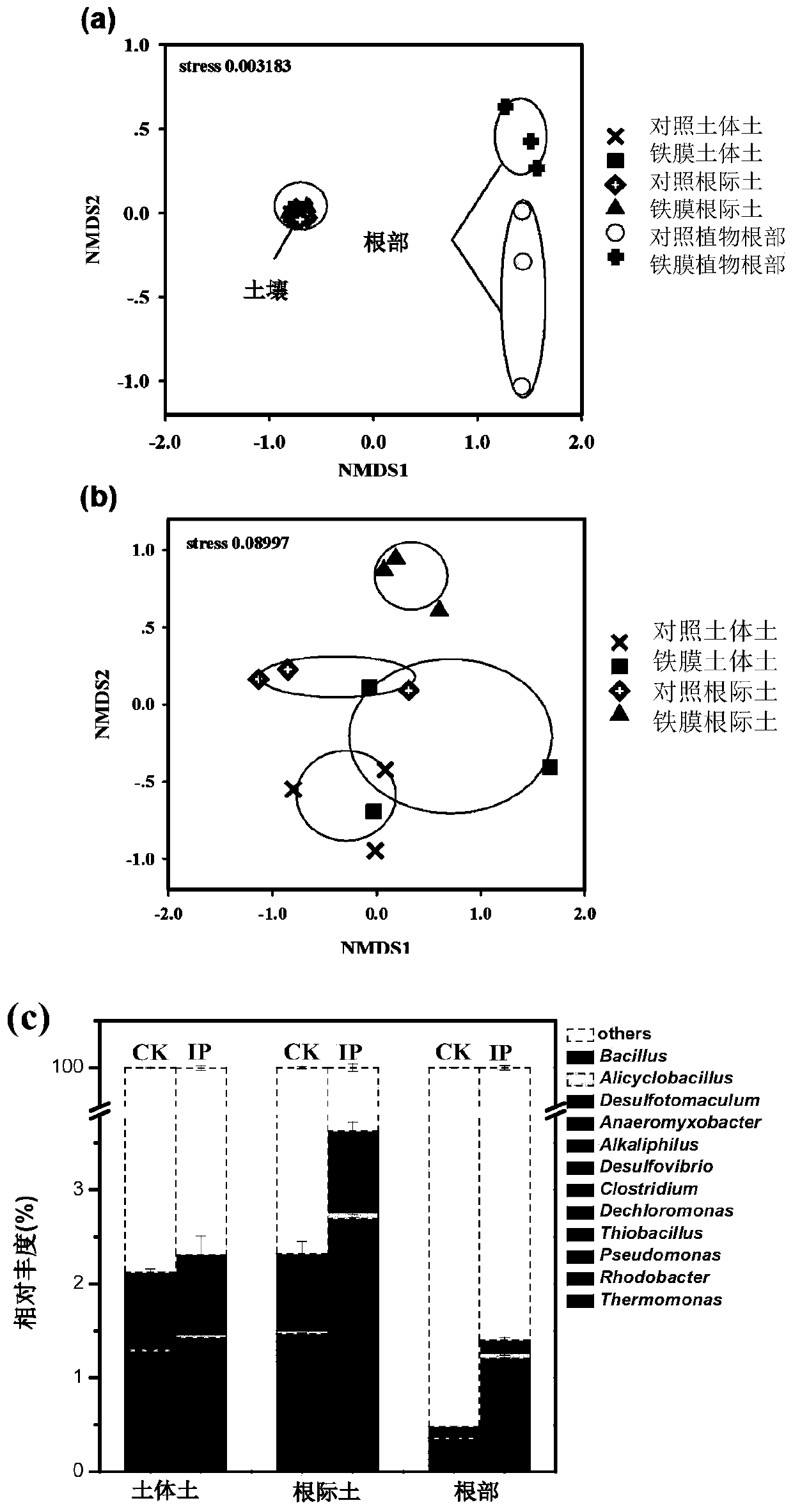Method for promoting soil nitrate reduction by rice root iron plaque