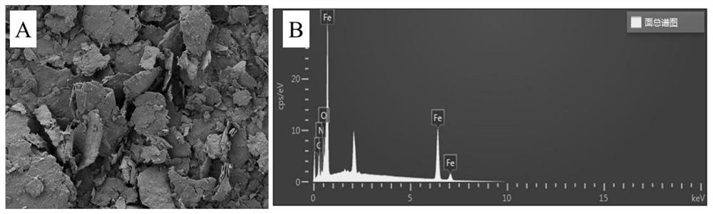 Preparation method and application of nitrogen-doped zero-valent iron composite material