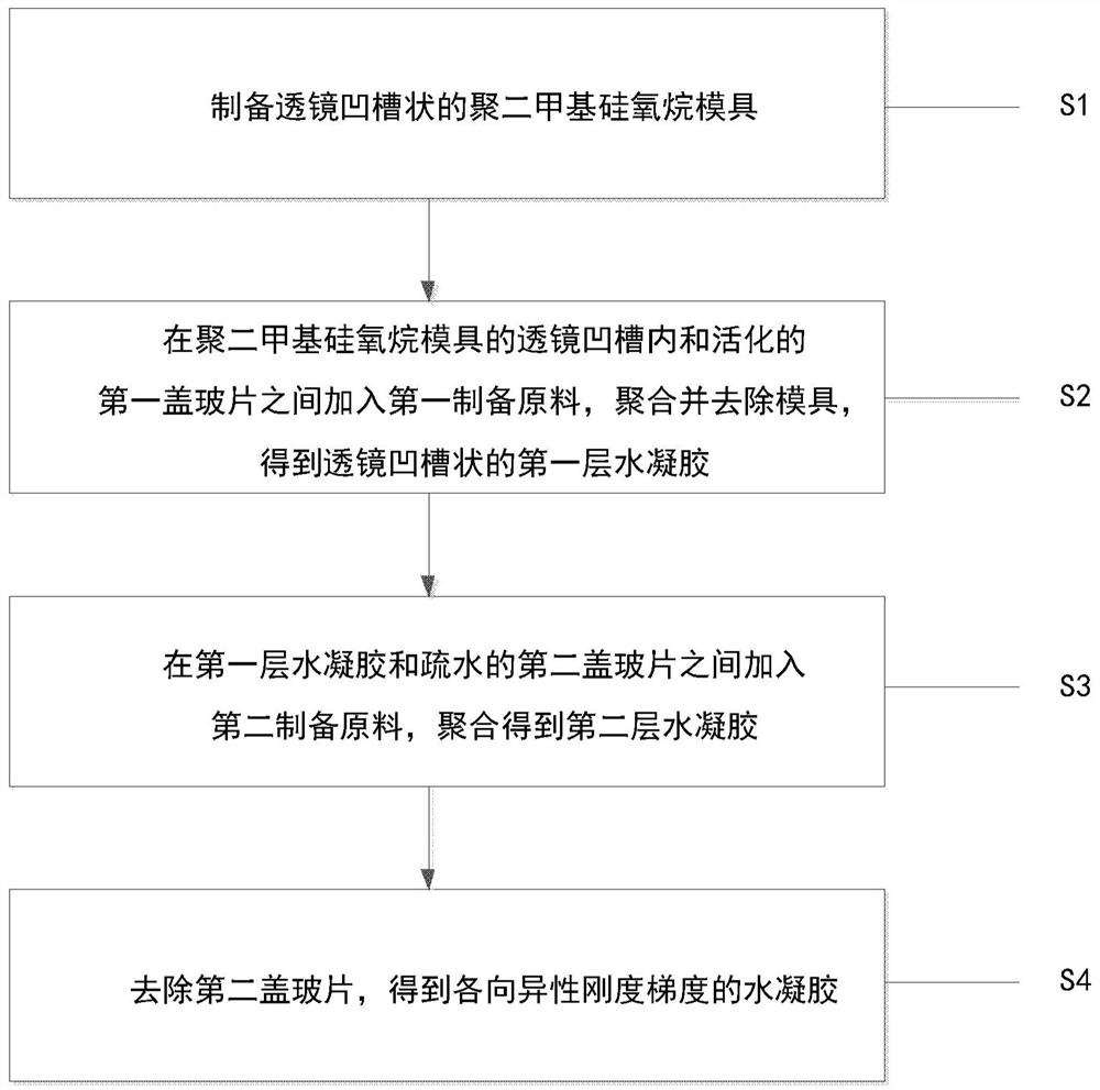 Preparation method and application of anisotropic stiffness gradient hydrogel