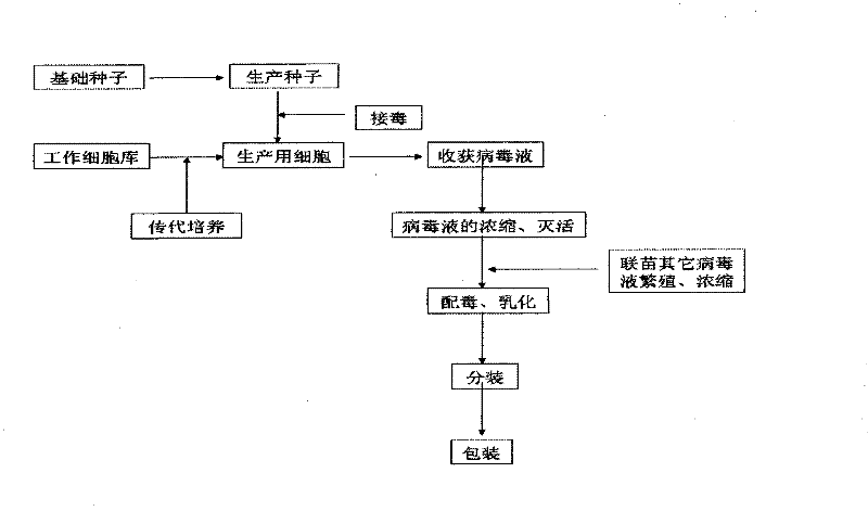 Method for Propagating Infectious Bursal Virus with Chicken Embryo Origin Cell Line to Prepare Inactivated Vaccine and Combined Vaccine