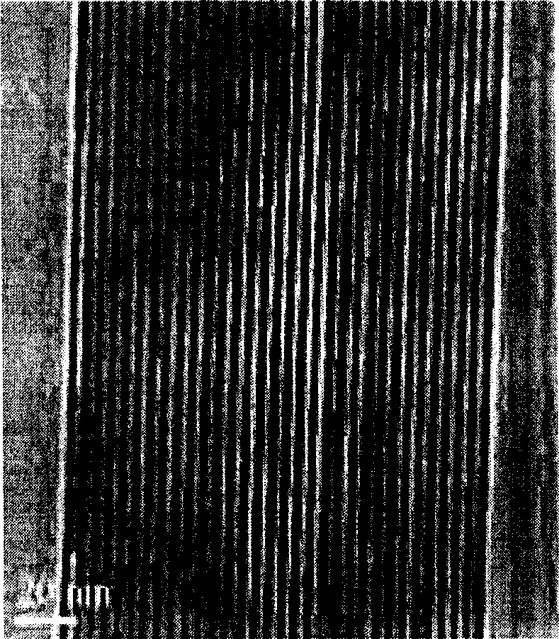 Meso-porous nanometer particle of calcium phosphate, preparation method and application thereof