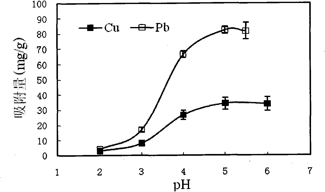 Method for adsorbing and recovering heavy metals of lead and copper by persimmon tannin-containing metal adsorbent
