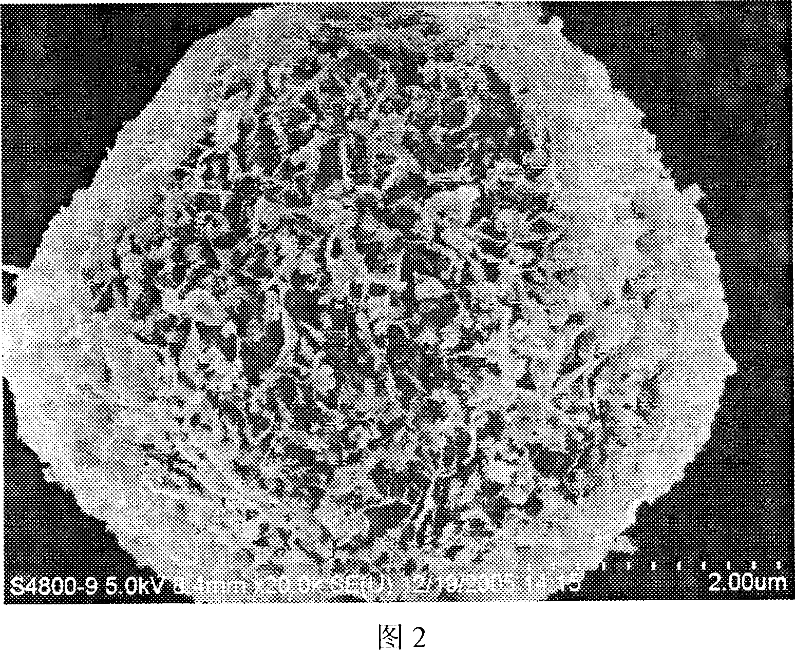 Process for preparing nano granule with high shape anisotropic property