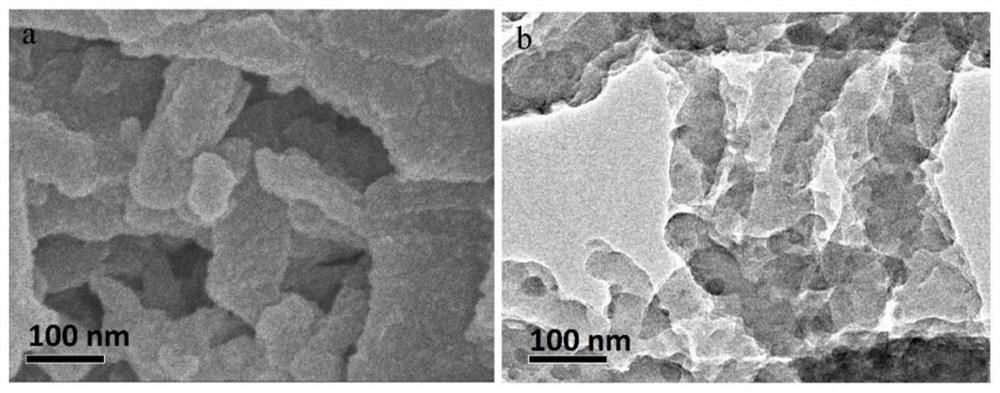 Foam material based on heteroporous covalent organic framework as well as preparation method and application thereof